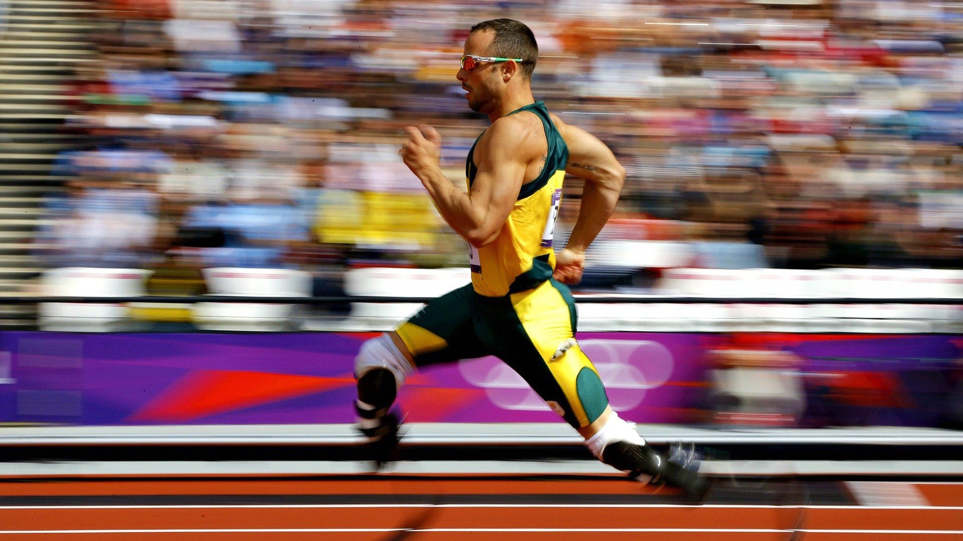 体育新闻中心赛季观察专栏，体育赛事新闻报道