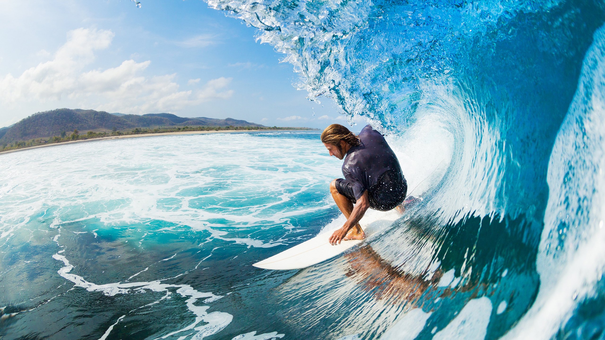 球迷们的最爱:赛季中最炙手可热的球员!,最火球员