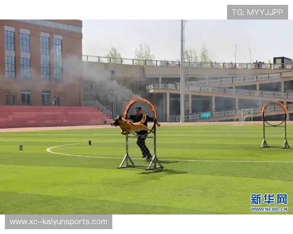 战队协同作战能力提升